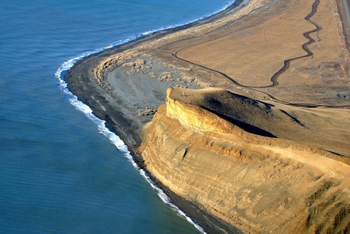 Punta Popper: la mayor pingüinera fueguina
